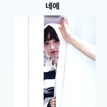 오늘 레이 ㄹㅈㄷ 귀여움임..