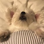 [댓글부탁해] 크아 제<b>발섭</b>종해줘