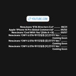 돌고래 <b>유괴단</b>이 공개하려했던뉴진스 영상목록들