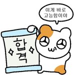 <b>이미</b> 대학 합격한거같음