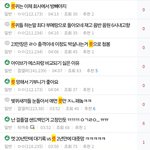 <b>타돌</b> 패고다니는 팬덤 앙딱정