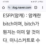 Esfp <b>악담</b>