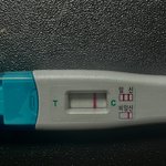 <b>얼리</b> 임테기 봐줘