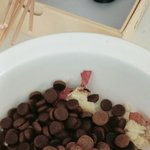 청담 닥터스랩 피부알러지 <b>사료</b> 리뉴얼 됐나요?