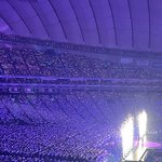 [모두드루와] 오늘자 아이브 도쿄돔 빅빅스<b>테이지</b>