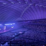 아이브 <b>도쿄</b>돔 현장 사진 봄?