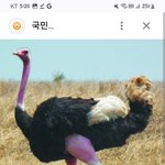 <b>동물</b>중에서 제일좋아