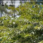 닝닝 호감 된 이유 생각해봤는데.<b>jpg</b>