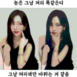 카리나랑 <b>윈터</b> 이<b>정도</b>로 닮았어..?