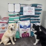 이민우 팬 연합, 유기동물 보호소에 뜻깊은 기부