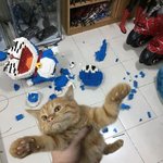 톡선에 <b>시간</b> 늦어서 수능<b>접수</b> 못했다하는거