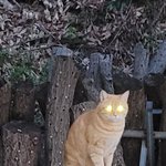 [댓글부탁해] <b>눈물</b> 참는 방법 좀 알려줘