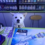 [드루와] 내친구 <b>지독</b>한 정바름병 걸림 살려줘..