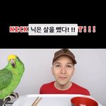 와 <b>니코</b>카도 살뺀거봐