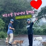 이효리랑 트와이스 <b>정연</b> 유기견 봉사에서 만났나봐