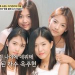 질환→투병 끝 별세…18살 어린 나이에 가장 돼" (<b>백반</b>기행)[종합]