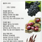 <b>황혼</b>의 서곡