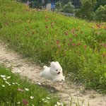 이런눈 렌즈끼면 ㄱㅊ아질까??