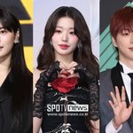 건드렸어"…나나→장원영, 사이버렉카와 전쟁 <b>선포</b>한 들[초점S]