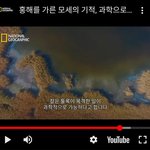 비엘 같은거 보지마세요