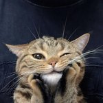 <b>키링</b>보이 와따