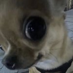 [드루와] 한예종영화vs<b>서성한</b>경영