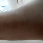 이거 스타킹 <b>올</b> 나간건가여..?