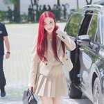 ‘영국드라마에서 본 것 같은 귀족 영애 비주얼’ (<b>동물</b>농장 출근길)...