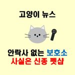 [제발좀봐줘] 중랑구 고양이 <b>쉼x</b> 알고보니 신종 펫샵