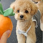 [댓글부탁해] 환승연애3 공<b>상정</b> 인스타 스토리 또 올림