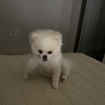[댓글부탁해] 이 <b>애기</b> 왜이러고 앉는지 아는사람