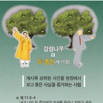 교리비교 13   계6장의 감람유와 포도주