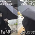 “장원영한테 미안합니까? 대답!”…탈덕수용소에 호통친 유튜버