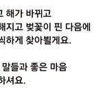 [군대] <b>말</b> 진짜 이뿌게 한다