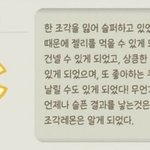 나 대학 한 번 더 다닐까?