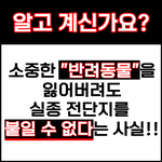 반려동물 실종 전단지 <b>부착</b> 허용 및 관련 제도 개선 요청에 관한...