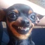 나 고3인데 <b>복도</b>에서 목소리 개 큰 애들 보면