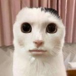다리분질러질거같음…