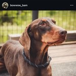 정국 <b>파워</b> 미쳤네