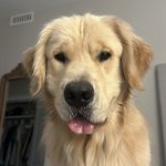 <b>저리</b>가 몬난아