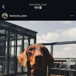 [이것좀봐줘] 방탄 정국 방금 올라온 인<b>스스</b>