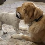 오빠가 알통이를 <b>너모</b>나 좋아하다보니