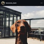정국 인스타 <b>의미</b>?