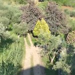 [드루와] 제니 이거 완전 리틀 포레스트 실사판이네