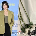 황보라, 명절 앞두고 안타까운 이별…"19년 함께한 반려견 하늘나라...