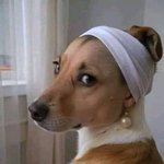 [19] 산부인과에서 내가 <b>예민</b>한거야??