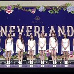 <b>우주</b>소녀 사실상 망했음 곧 해체 할듯