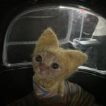 아니 나 이 <b>릴스</b> 댓글에 진심으로 궁금 한거 있음