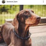 이와중에 정국 민희진 <b>샤라</b>웃!!!