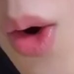 이거 <b>비슷</b>한것 같음?